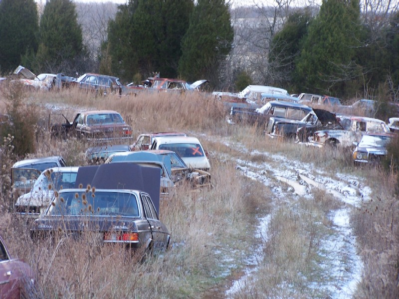 Illustration for article titled Over 1,000 Vintage Mercedes-Benzes Await The Cruel Jaws Of The Crusher In Kentucky